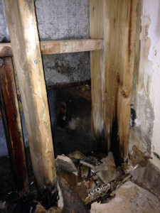 Asbestos & Mould Removal Services